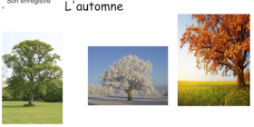 Vignette_Les saisons