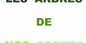 Vignette_Les_arbres_de_nos_forets