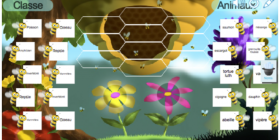 Vignette_Sciences_les_classes_animaux
