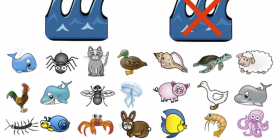 Vignette_animaux_mer