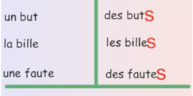 Vignette_orthographe_pluriel_singulier