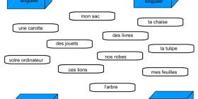 Jeu : féminin-masculin-singulier-pluriel