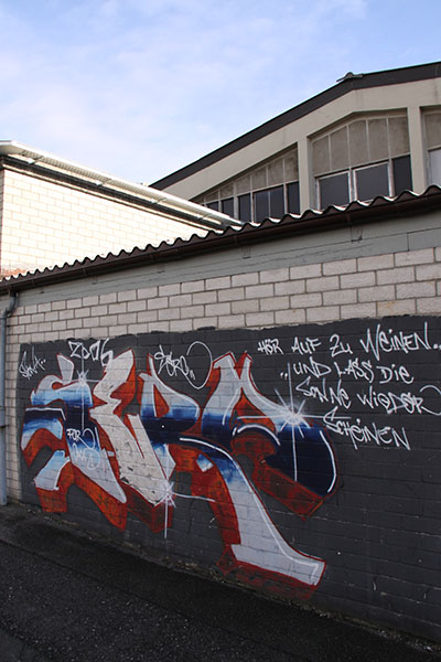 Duedingen-Graffiti-Duedal-IMG_9972a